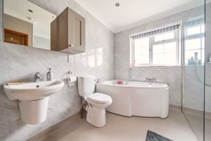 Bath/shower room- click for photo gallery